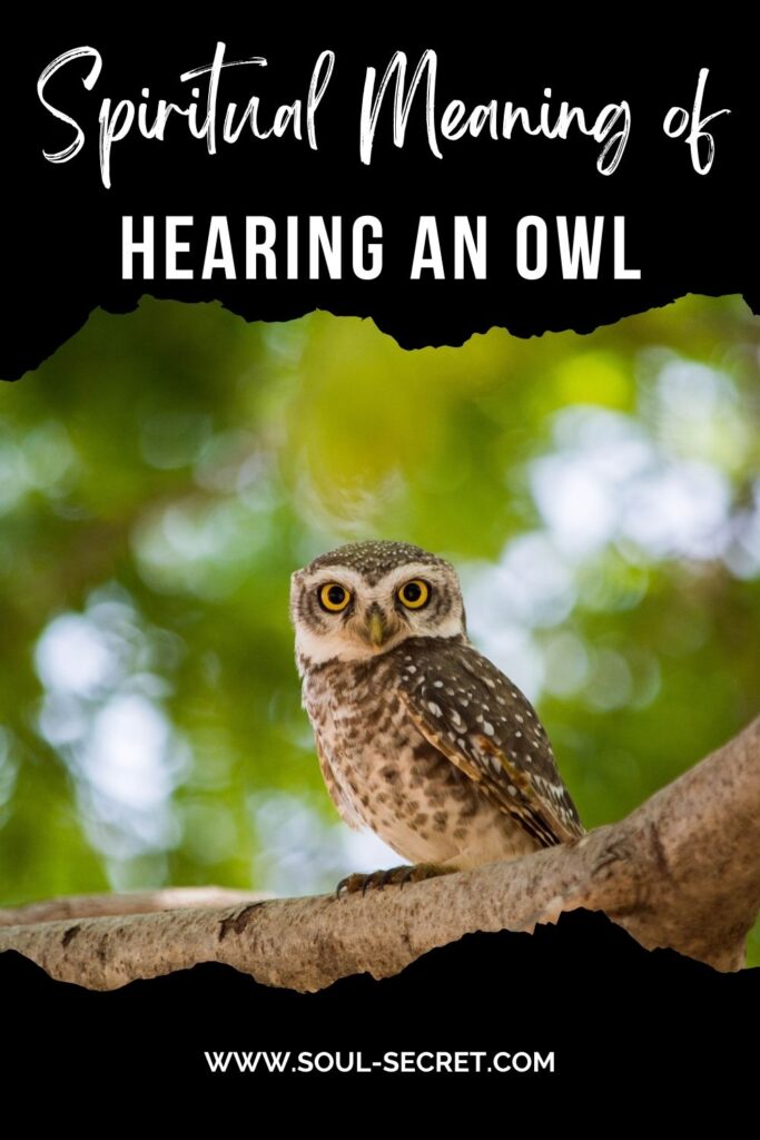 spiritual meaning of hearing an owl